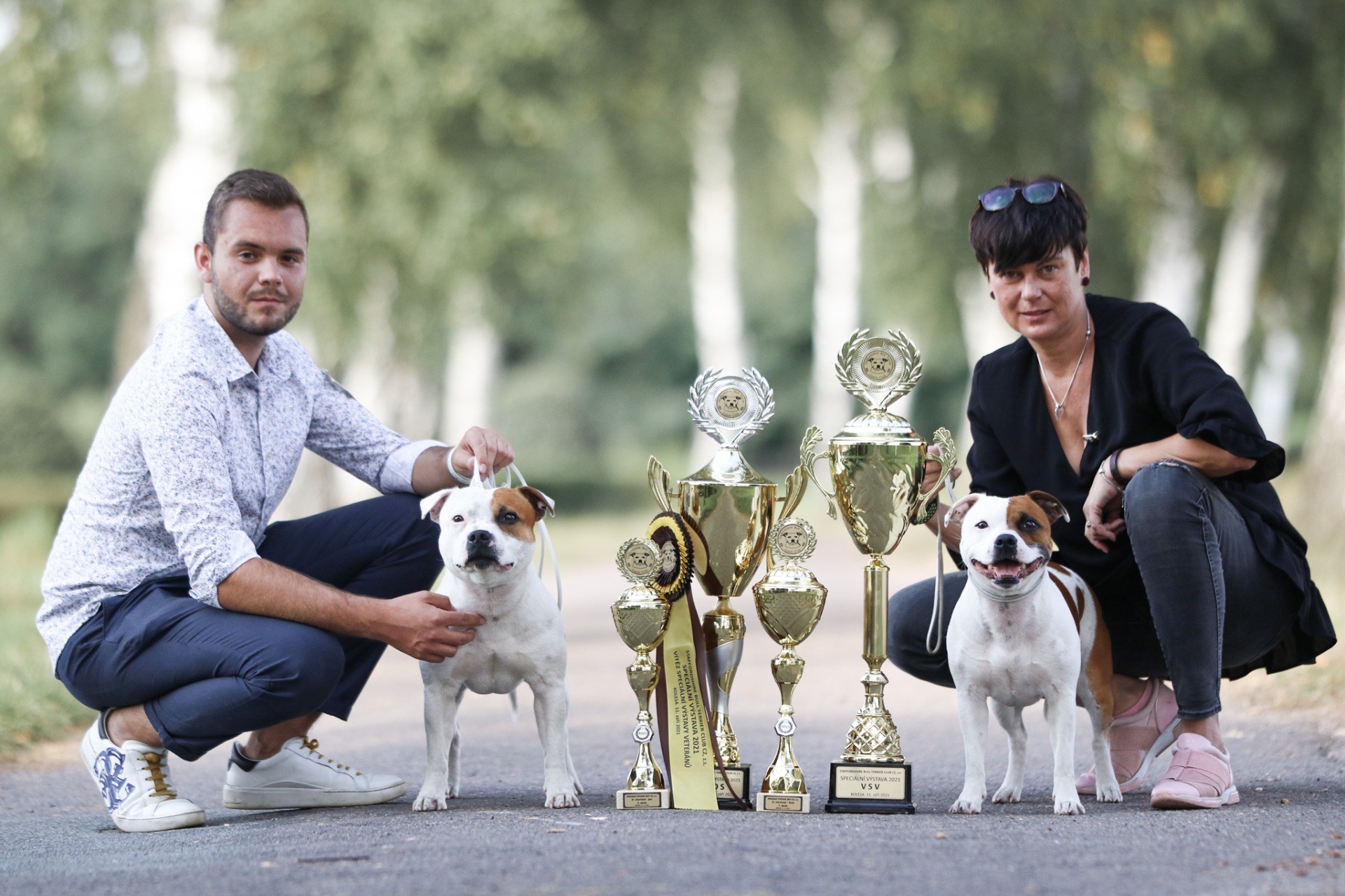 Klubová výstava stafordšírského bulteriéra Kolesa 2020