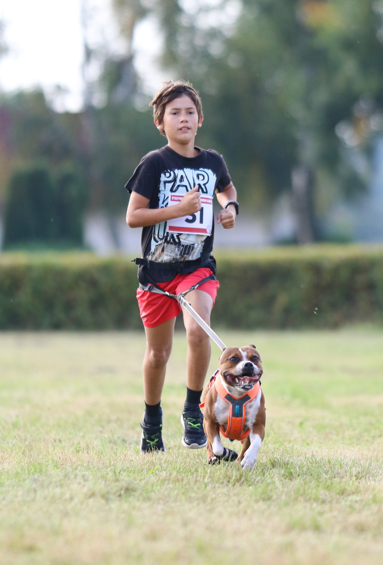 Canicross závod pro plemeno SBT Kolesa 2020