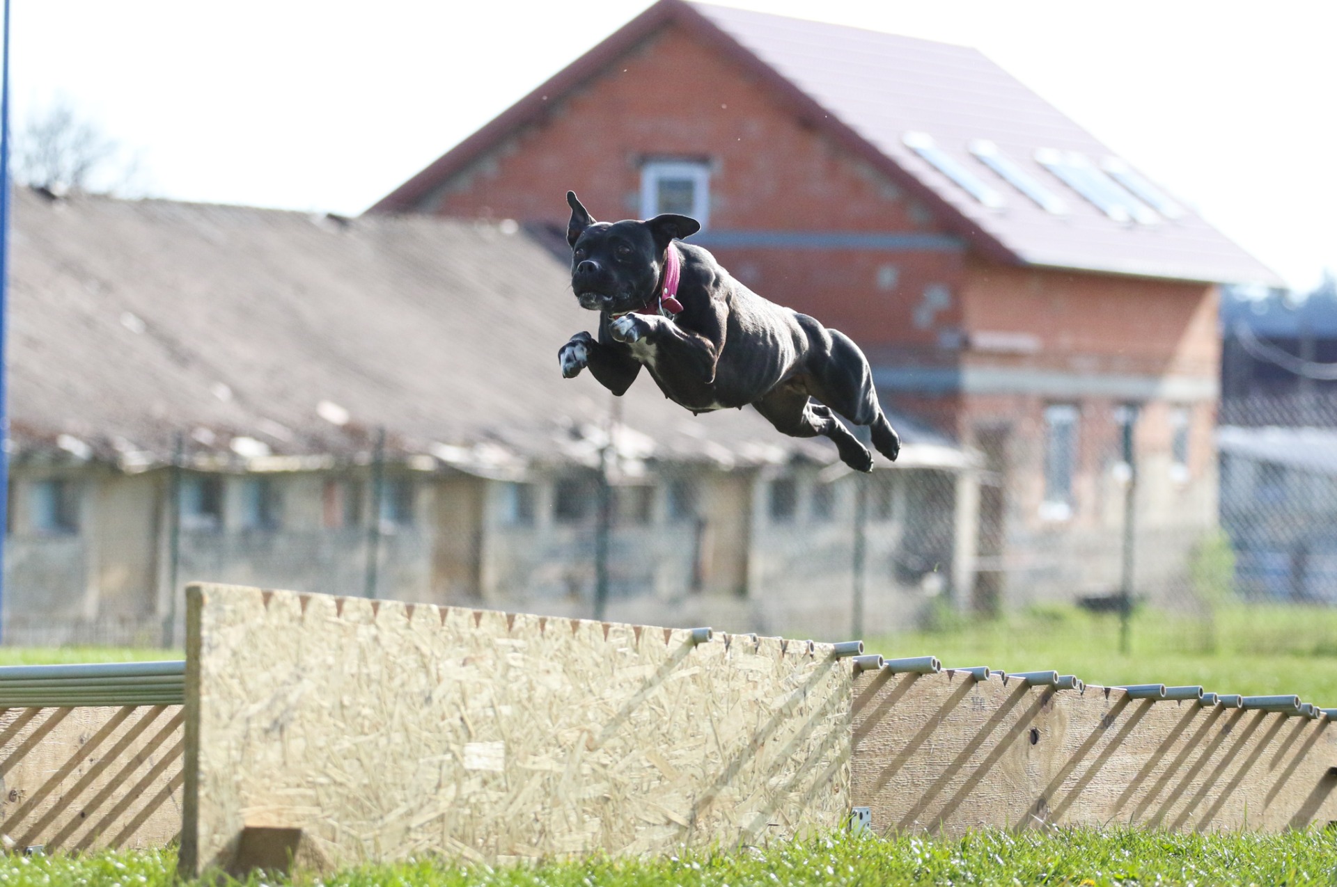 Bull sport závody Velká Dobrá for Fun 2021