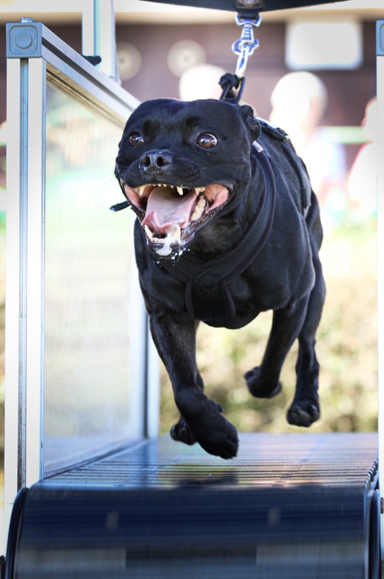 Treadmill závod kolesa 2020