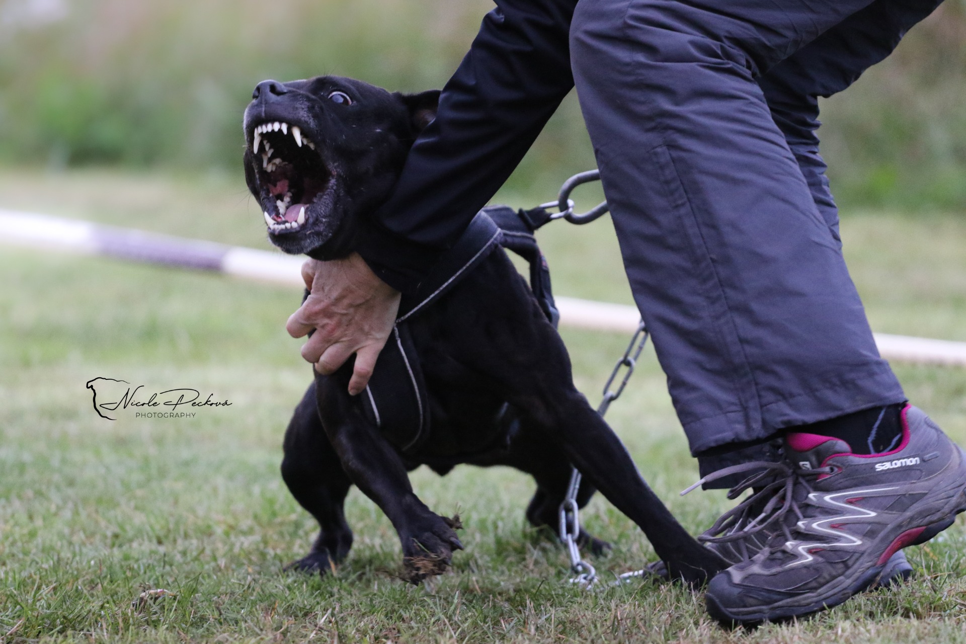 Speciálka Němčice 2022