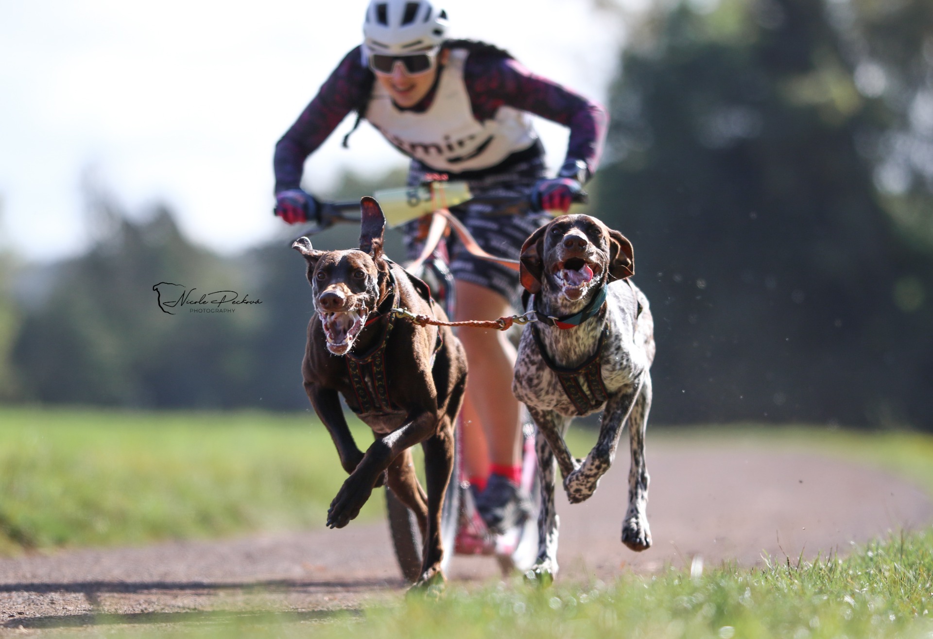 FITMIN 2023 - Závody psích spřežení