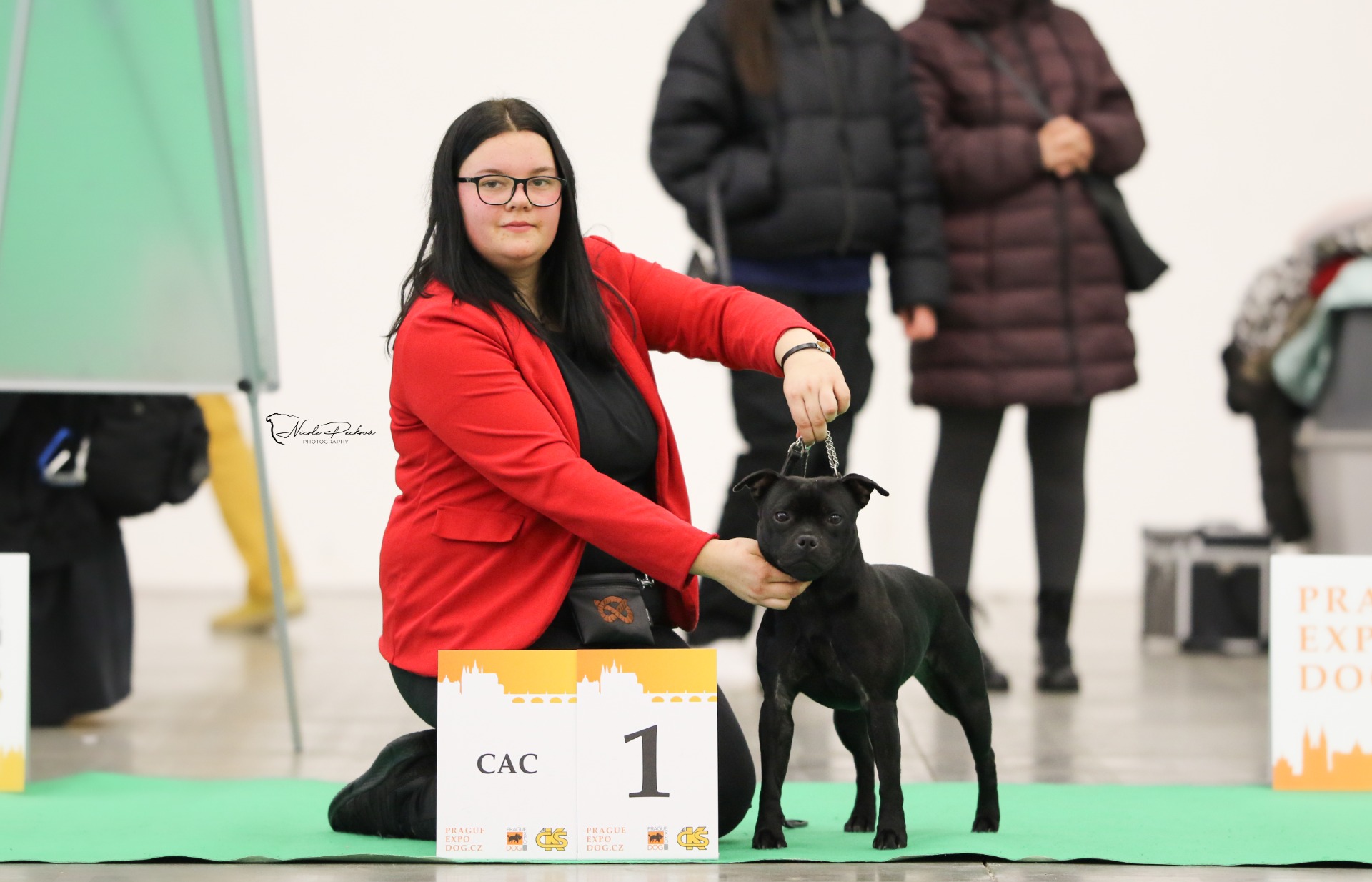 Katee z Kaplířova Panství majitelka Nela Drobečková TrioCACIB Prague Expo Dog 09.12.2023