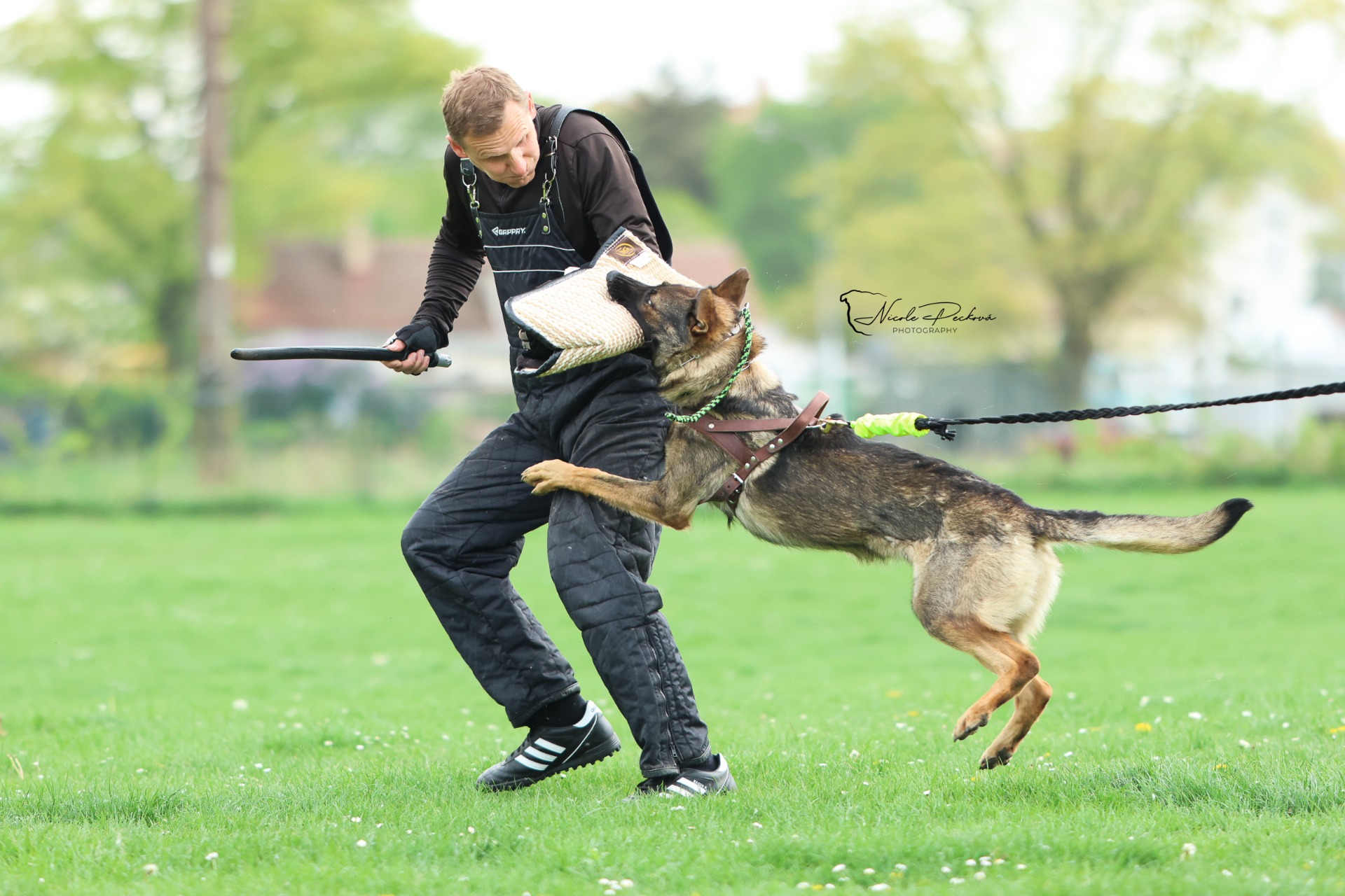 Obrany, Brandýs nad Labem